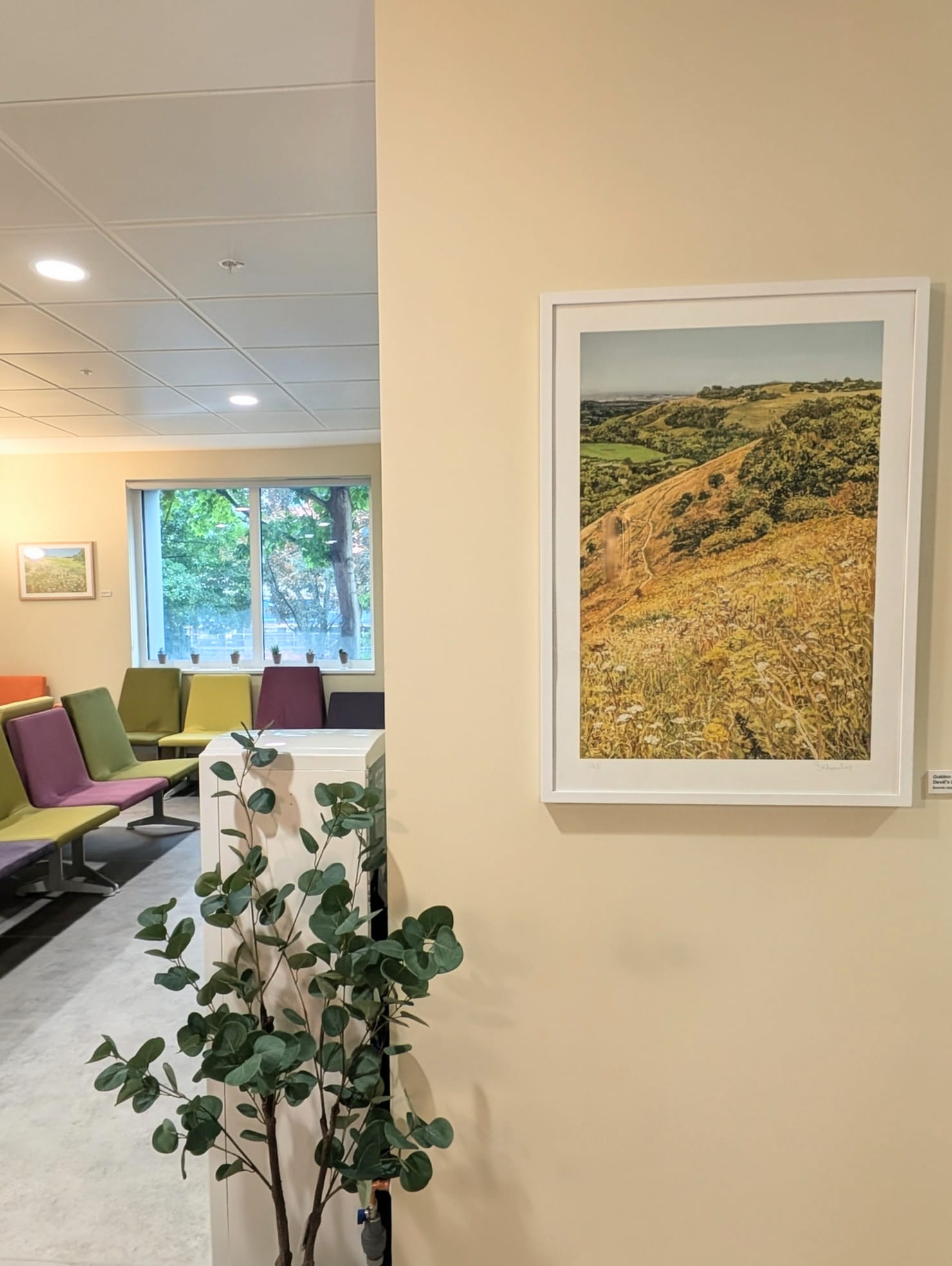 My giclee print of an original oil painting of Devils Dyke on the South Downs, looking towards Newtimber Hill.  It is end of the summer and the hills are golden, and the grasses are dry with seed heads showing. 