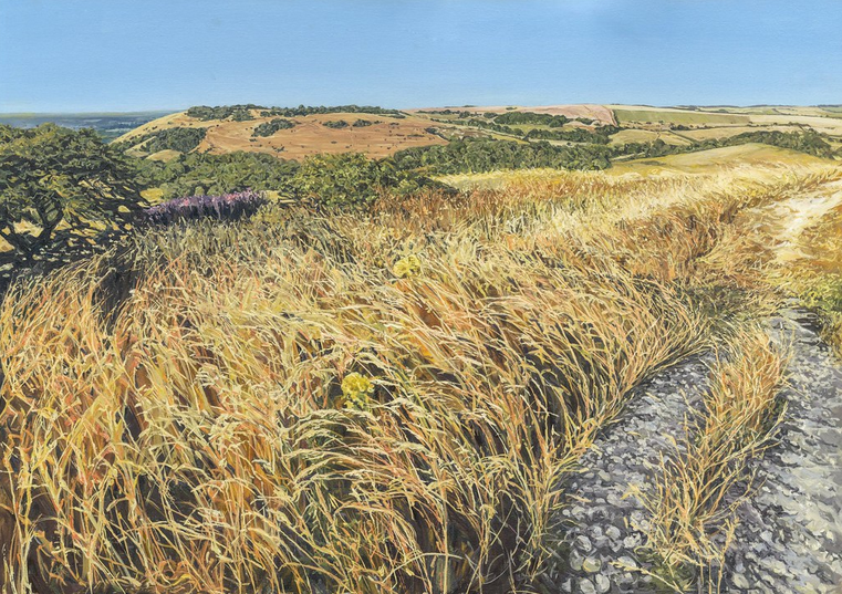 Swaying Grass on the chalkland spur of Devils Dyke Hill fort, looking towards Newtimber Hill bathed in Sunlight